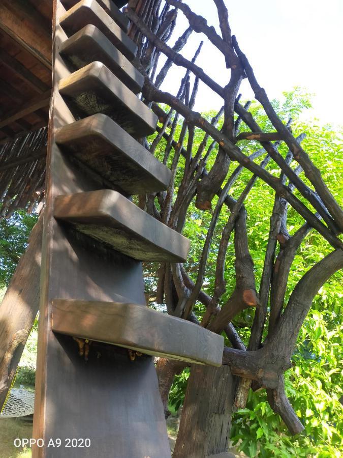 Forest Home Resort Ngwesaung Buitenkant foto